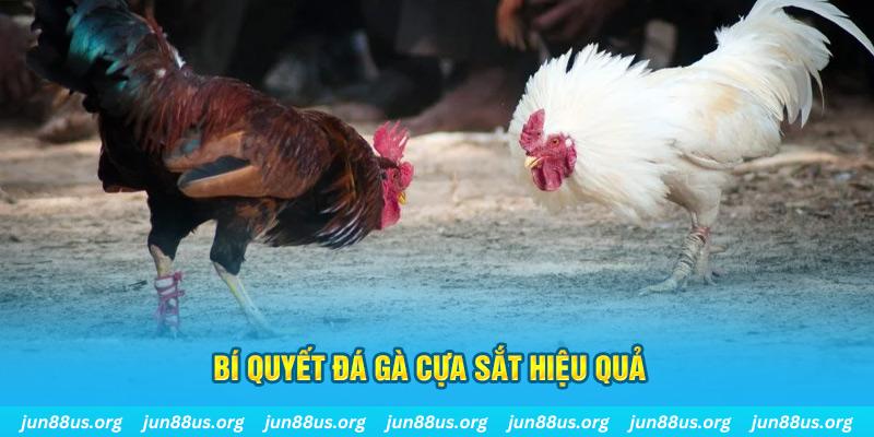 by88 club đá gà cựa dao