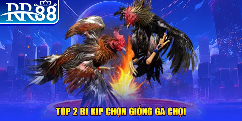 by88 club đăng nhập poker số 1