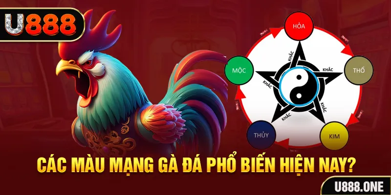 by88 club đăng nhập mậu binh