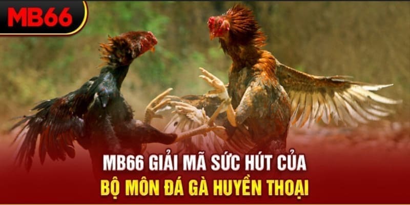 by88 club Phi Đội Ưu Tú