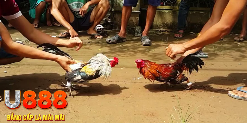 by88 club đăng nhập mậu binh rút tiền nhanh