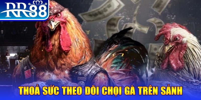 by88 club đá gà 88.com